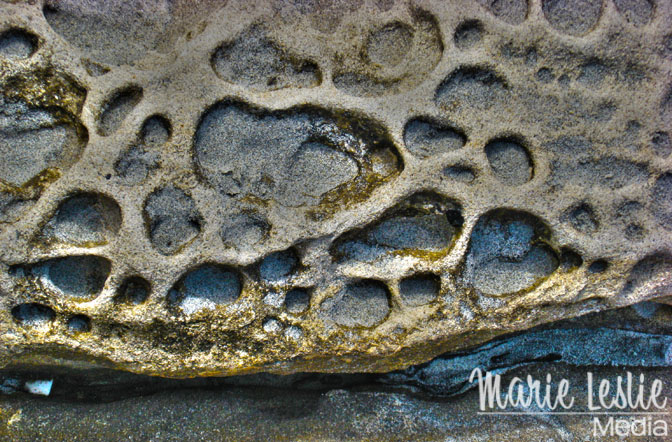 water-weathered sandstone on the beach