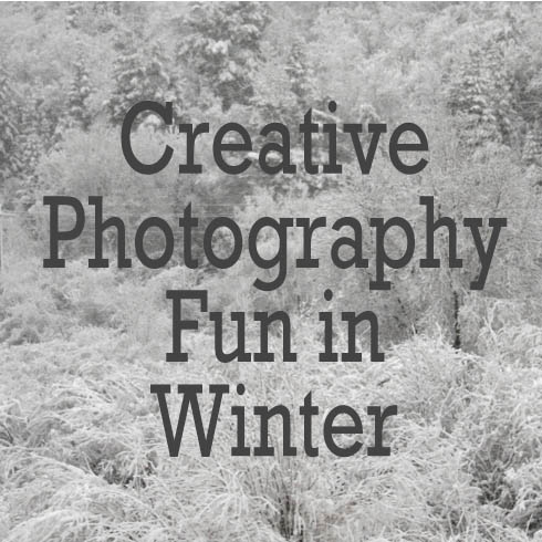 Creative Photography Fun in Winter