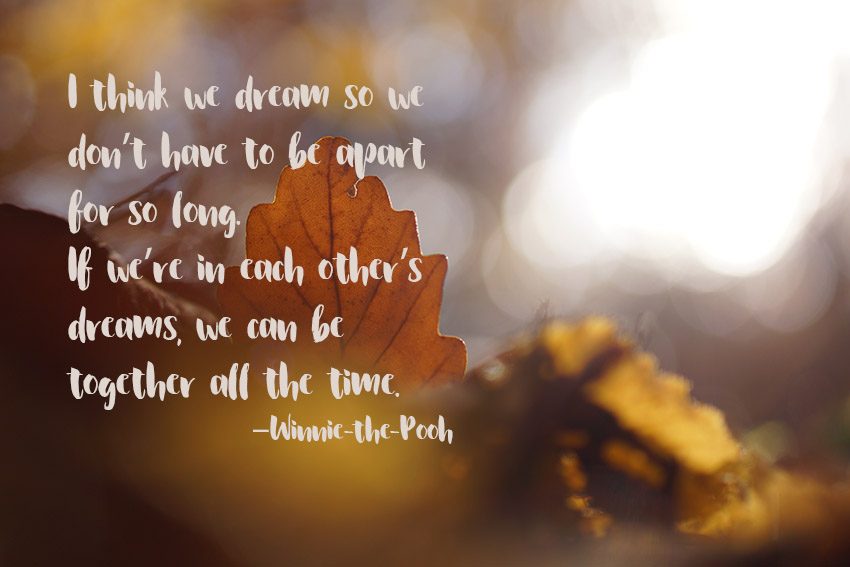 I think we dream so we don’t have to be apart for so long. If we’re in each other’s dreams, we can be together all the time. –Winnie-the-Pooh