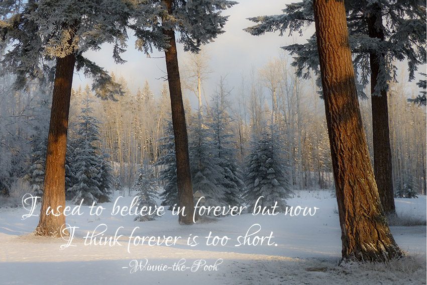 I used to believe in forever but now I think forever is too short. –Winnie-the-Pooh