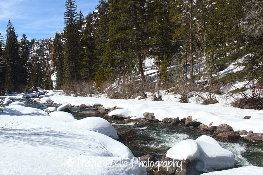 snow covered creek