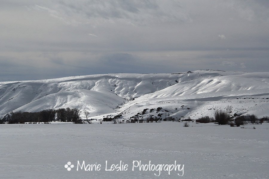 snow and meadows and mountains