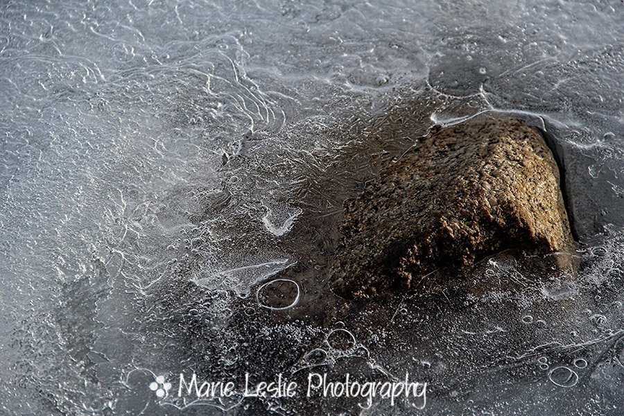 The Frozen Gunnison