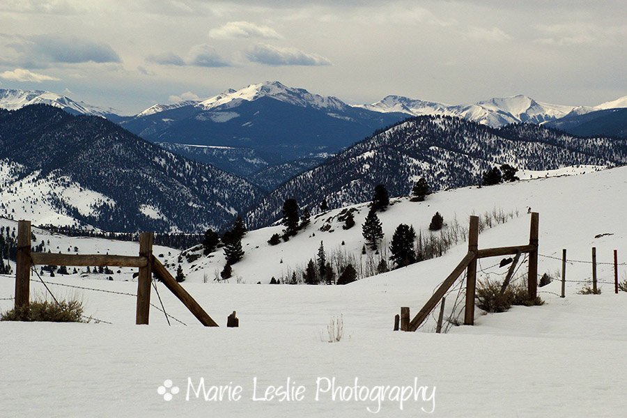 Winter Vista