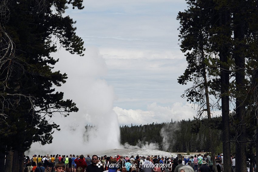 Old Faithful, Yellowstone