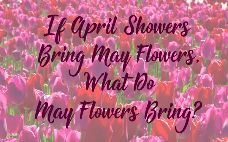 If April Showers Bring May Flowers, What Do May Flowers Bring?