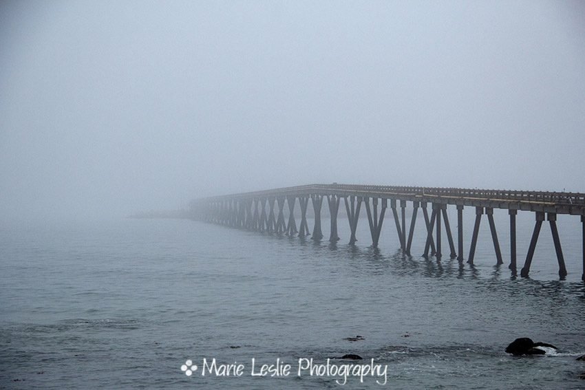 Into the Fog--Ventura Pier on a foggy summer evening