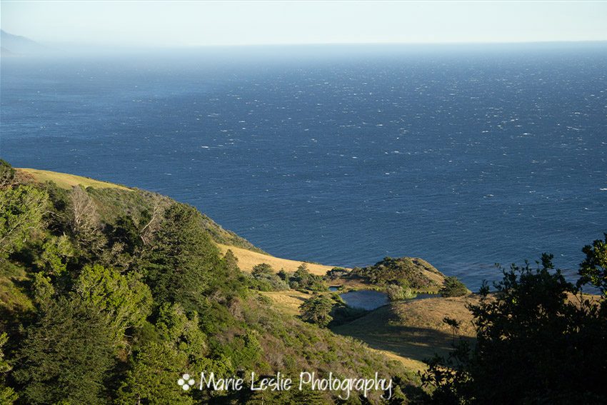 Sea View Pond