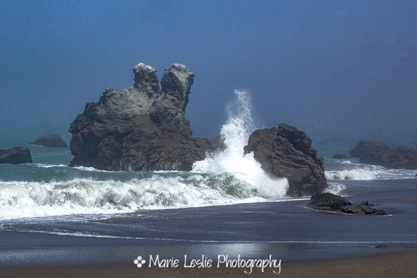 Sonoma Surf