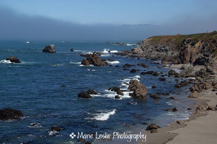 The Rocky Sonoma Coast