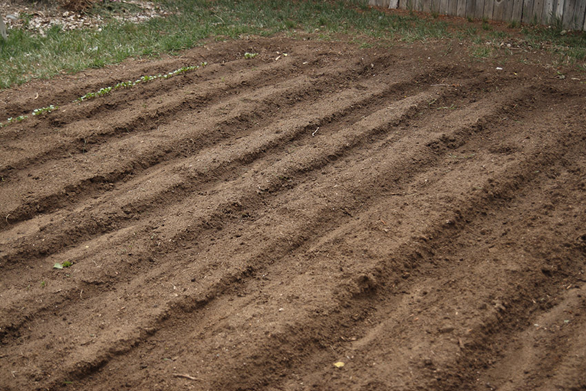 prepare-your-garden-before-planting