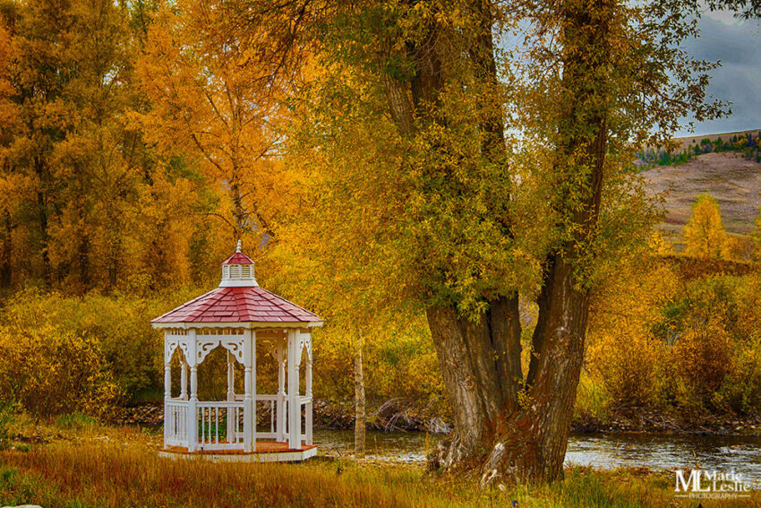 Gazebo in a Golden Garden